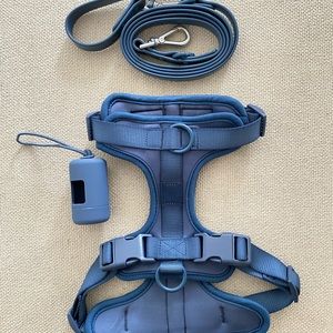 Wild One Navy Medium Dog Harness and 66”L Leash